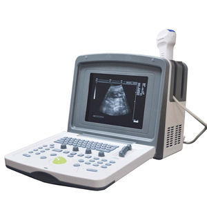 portable veterinary ultrasound system