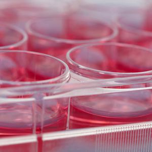 reagent medium reagent kit / for research / cardiac / liquid