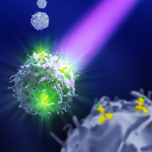 antibody reagent kit / for research