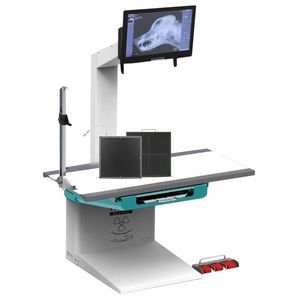 digital veterinary X-ray system 1