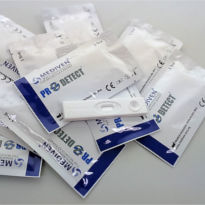 rapid gastrointestinal infection test / rotavirus / feces / immunochromatographic