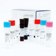 leptospirosis test kit