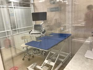 veterinary examination table / for ultrasound imaging / electric / height-adjustable