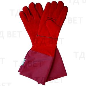 gloves