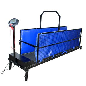 dog veterinary treadmill