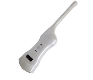endocavitary ultrasound transducer