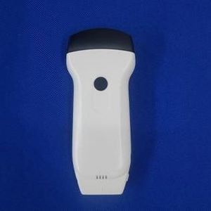 linear veterinary ultrasound probe