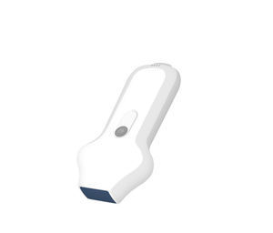 large animal veterinary ultrasound probe