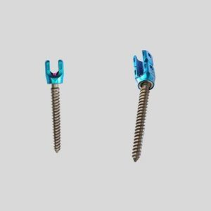 thoracic-lumbar vertebra pedicle screw 1