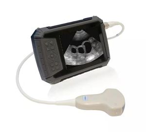 hand-held veterinary ultrasound system