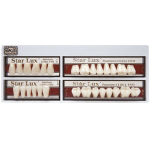 acrylic dental prosthesis / anterior teeth / posterior teeth