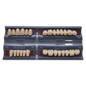 hybrid composite dental prosthesis / anterior teeth / posterior teeth