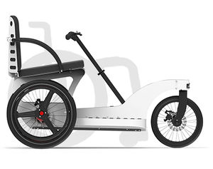 lever-propelled adaptative tricycle