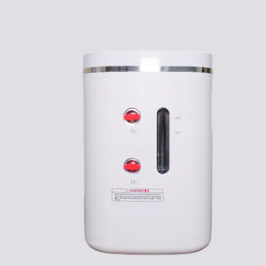 hydrogen hydrogen generator