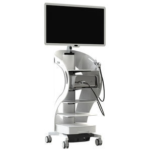 arthroscopic endoscopy column 1
