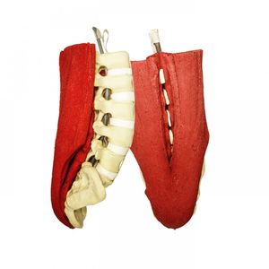 lumbosacral model