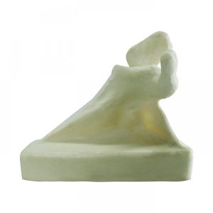 bone model