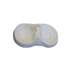 bone model