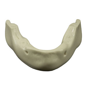 mandible model 1