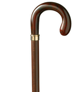 walking stick
