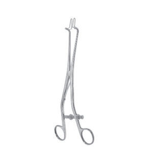 cervical speculum 1