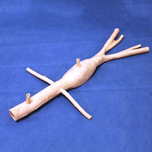 abdominal aortic aneurysm model