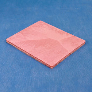 plastic surgery simulator / suture / pad