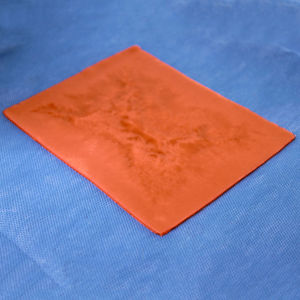bladder model