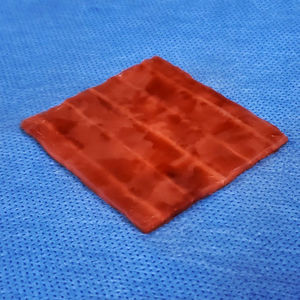 blood vessel model