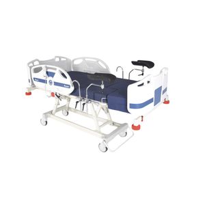 delivery bed 1