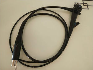 veterinary video gastroscope