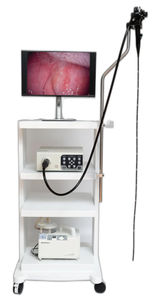 veterinary gastroscope