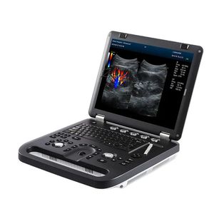 portable ultrasound system