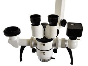 optical microscope