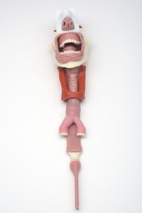 airway management simulator