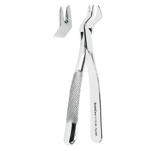 molar dental extraction forceps