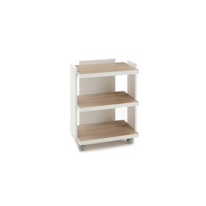 general purpose trolley 1