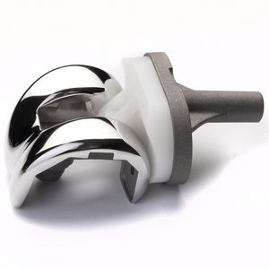 revision knee prosthesis