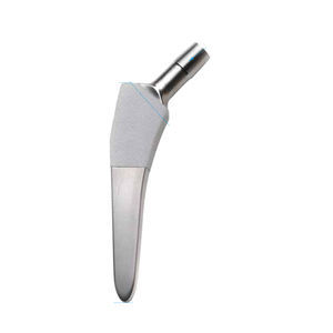 cementless femoral stem