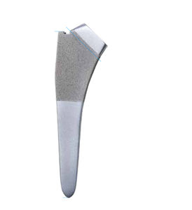 cementless femoral stem