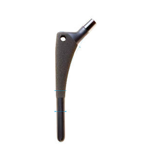 cementless femoral stem
