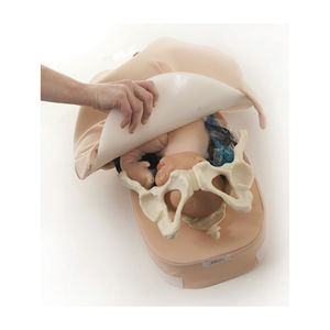 palpation simulator / pregnancy