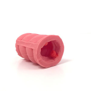 colon model