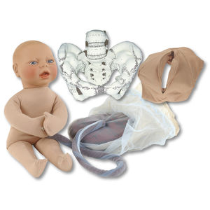 obstetrical/gynecological simulator