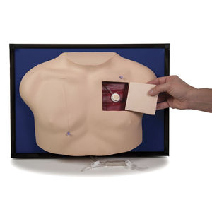 venous vascular access patient simulator