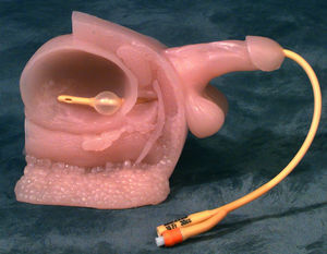 urinary catheterization simulator