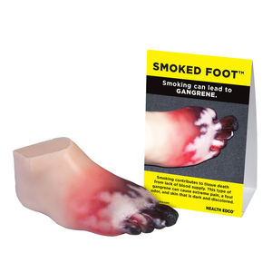 foot anatomical model