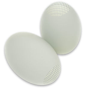 testicular implant