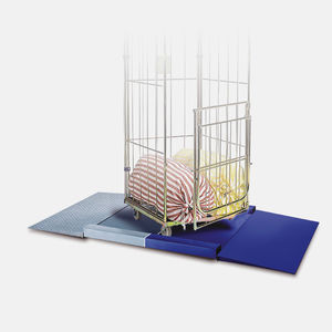 electronic platform scale