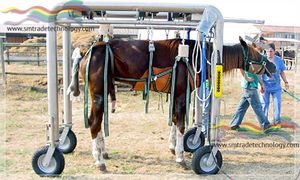 transport stretcher trolley / emergency / pneumatic / veterinary